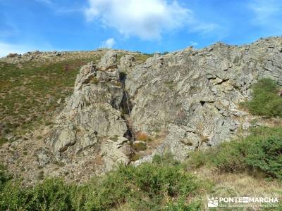 La Dehesa Bonita - Abedular de Somosierra_ excursiones de un día